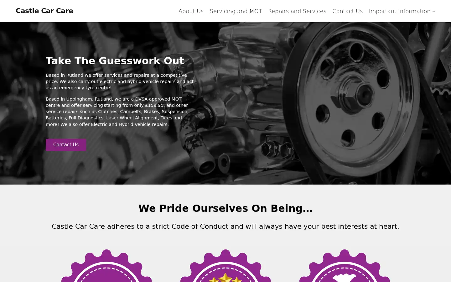 Screenshot of castlecarcare.co.uk