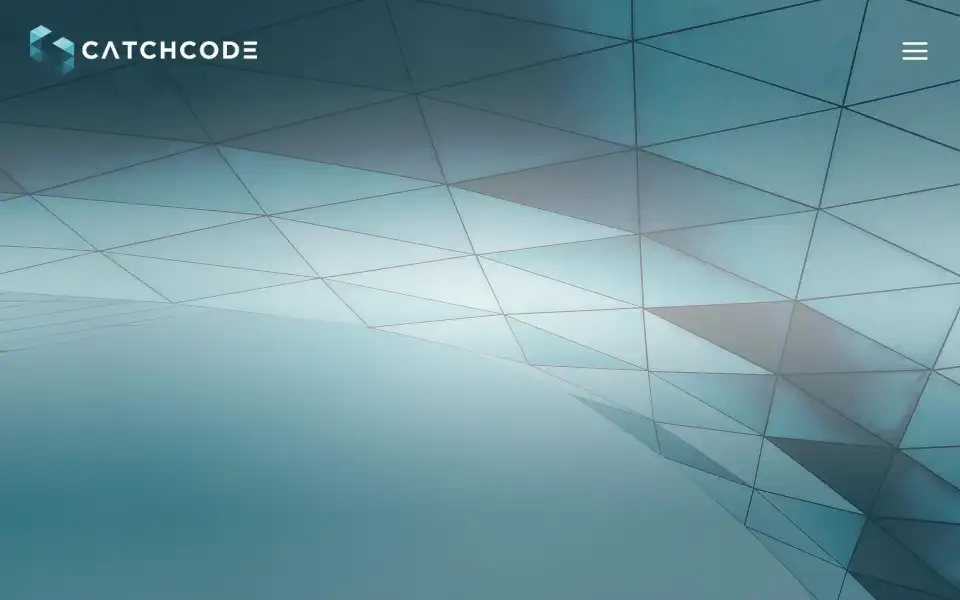 Screenshot of catchcode.nl