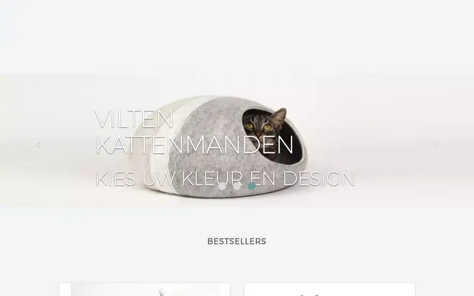Screenshot of catdesignstore.nl