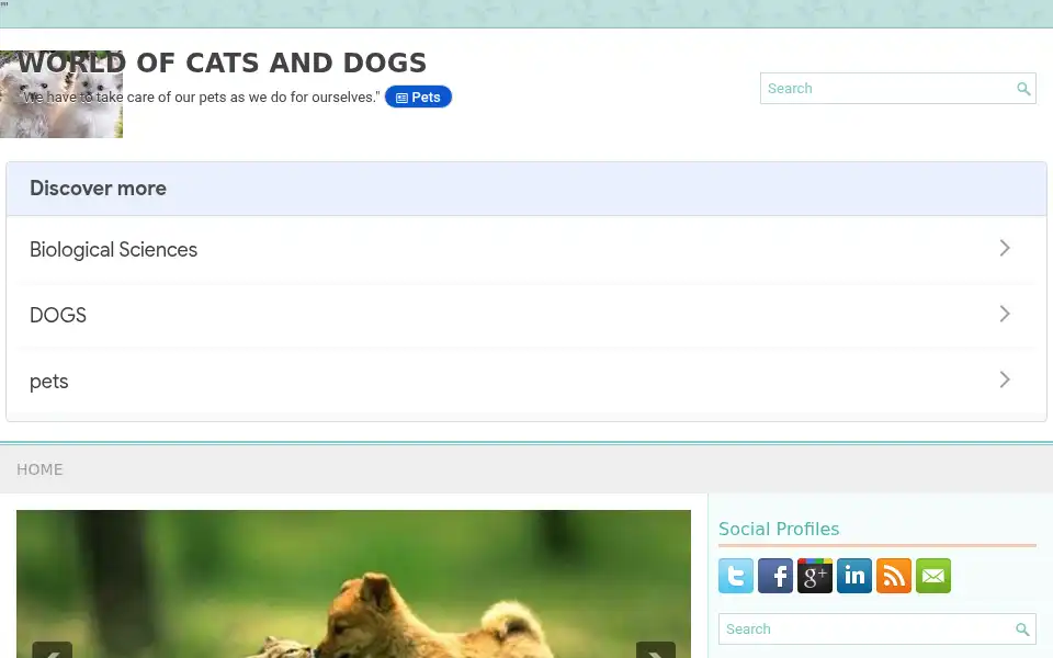 Screenshot of catdogwrld.com
