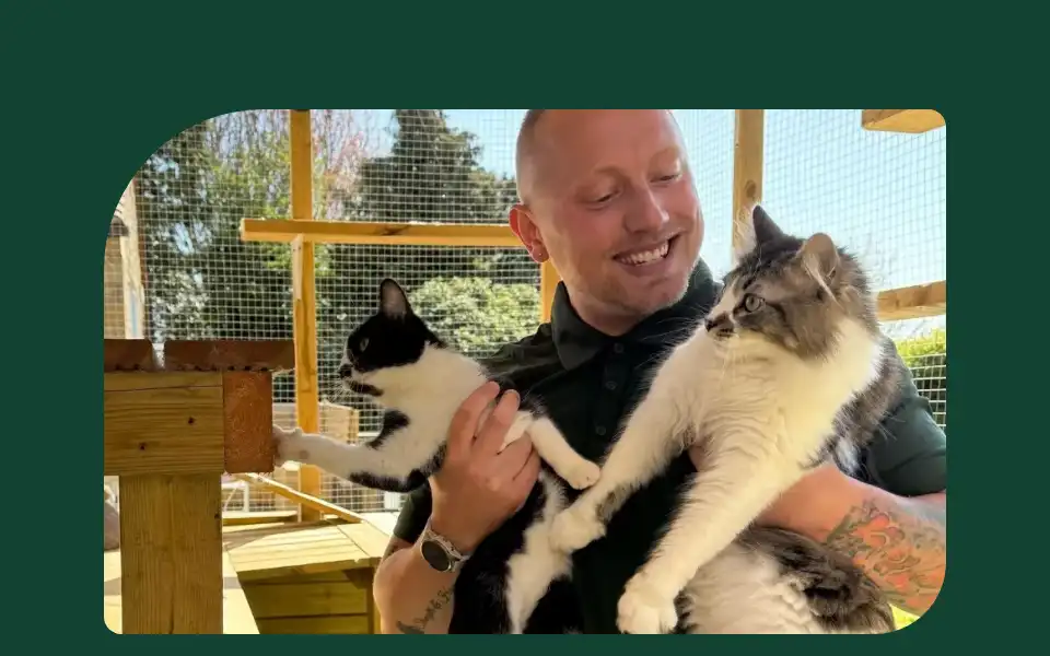 Screenshot of catiosuk.co.uk