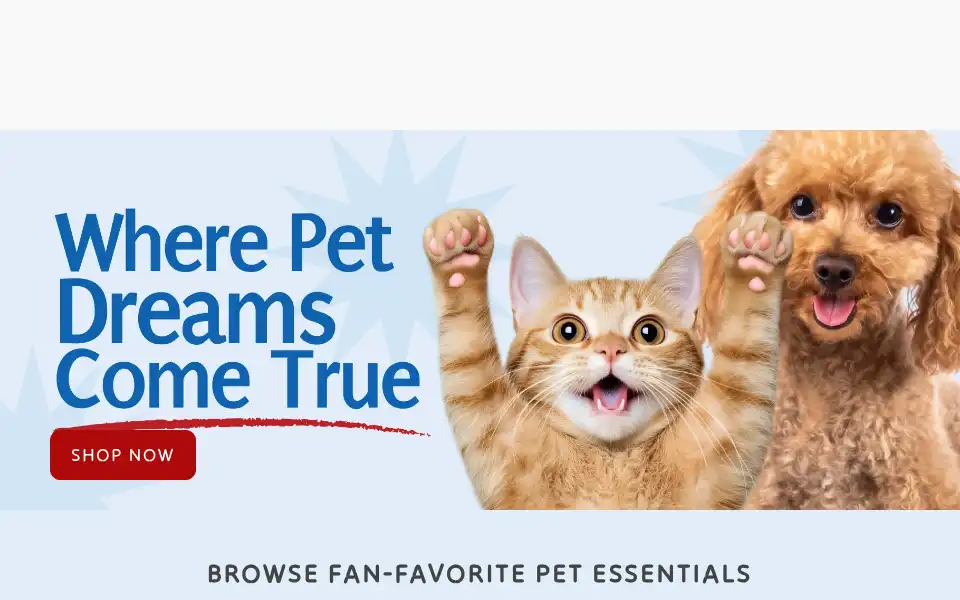 Screenshot of catkingdom.shop