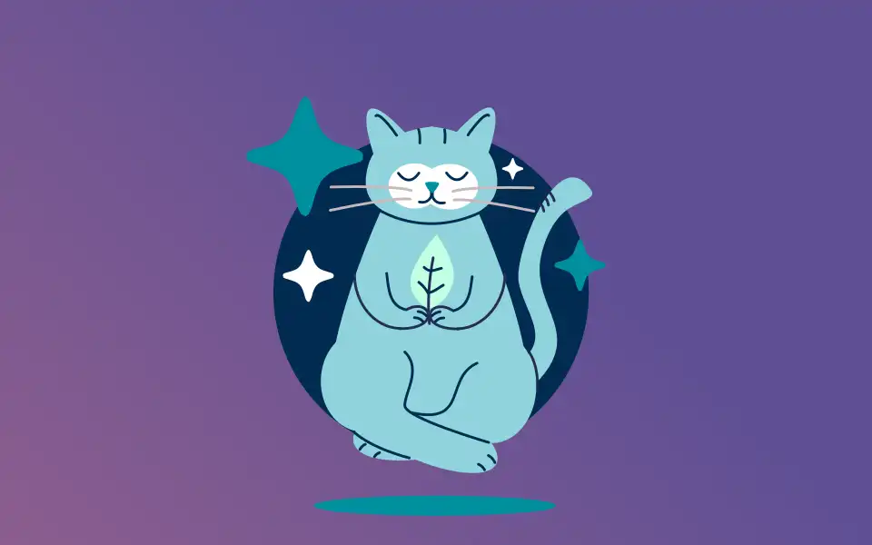 Screenshot of catnip.be