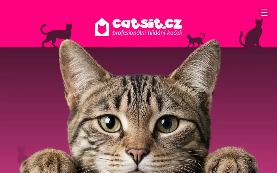 Screenshot of catsit.cz