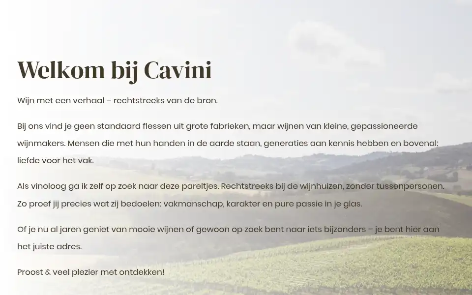 Screenshot of cavini.nl