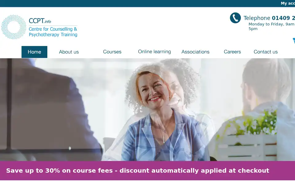 Screenshot of ccpt.info