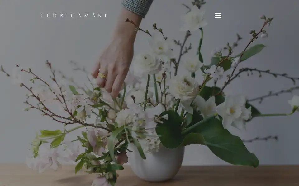 Screenshot of cedricamani.com