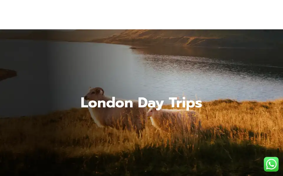 Screenshot of celestiatravel.uk