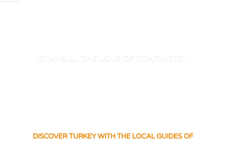 Screenshot of celsustravel.com