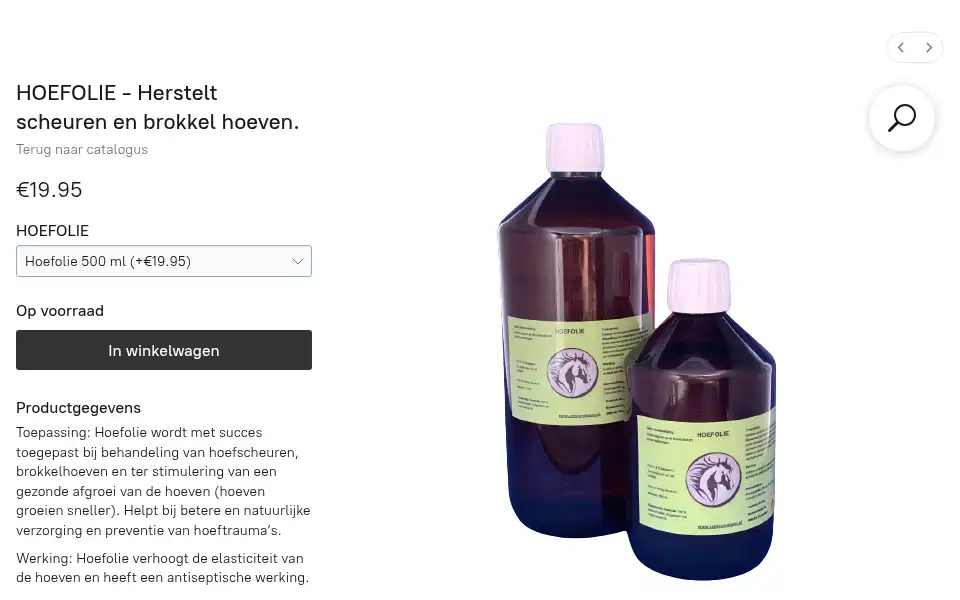 Screenshot of centrumdezon.nl