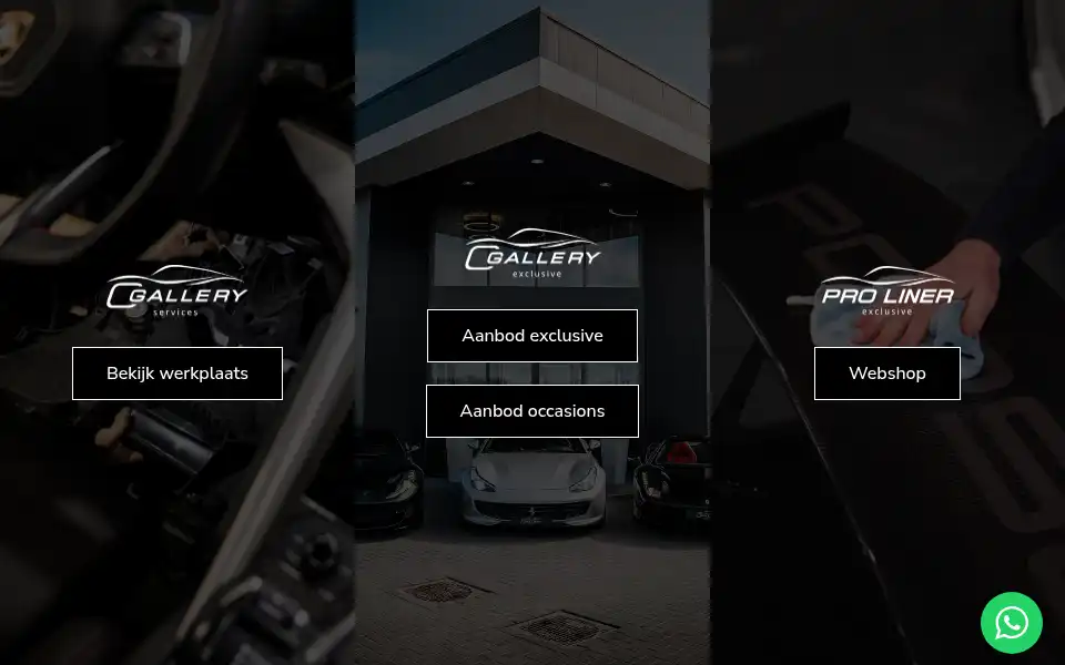 Screenshot of cgalleryexclusive.nl