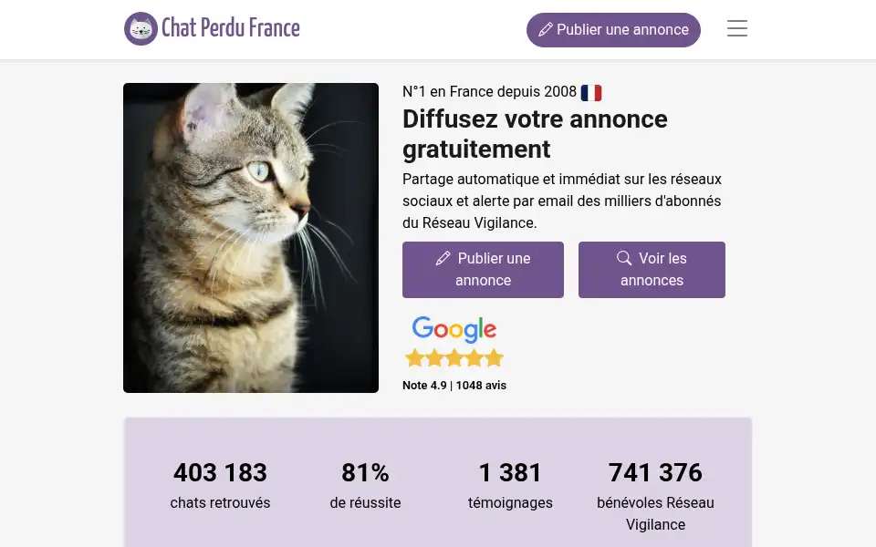 Screenshot of chat-perdu.org