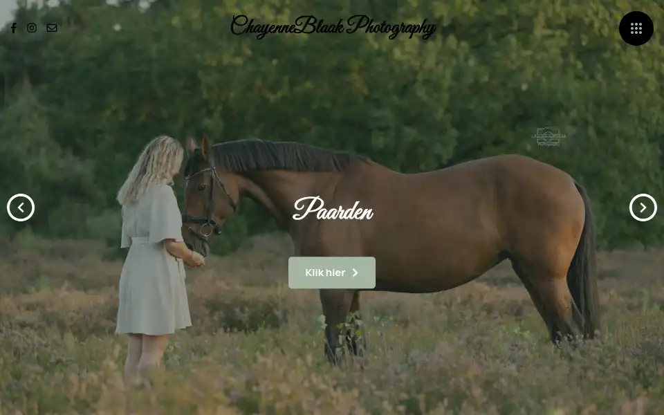 Screenshot of chayenneblaak.nl