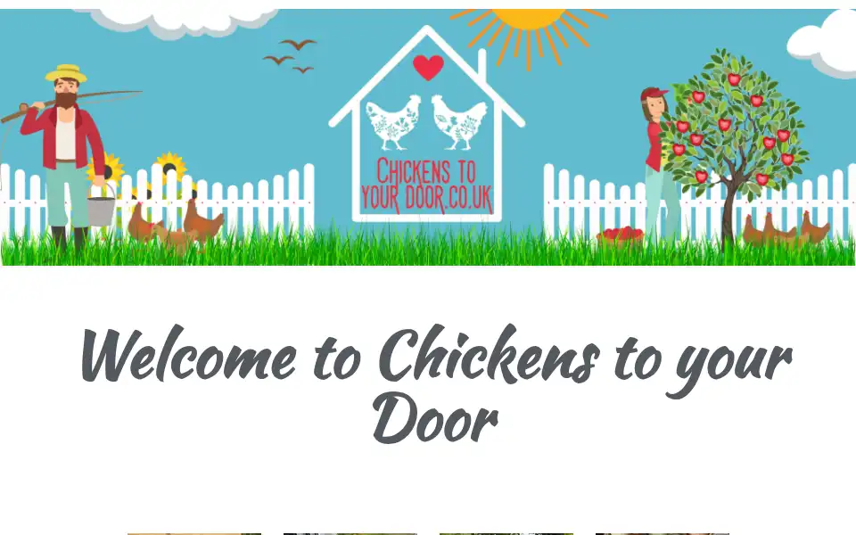 Screenshot of chickenstoyourdoor.co.uk