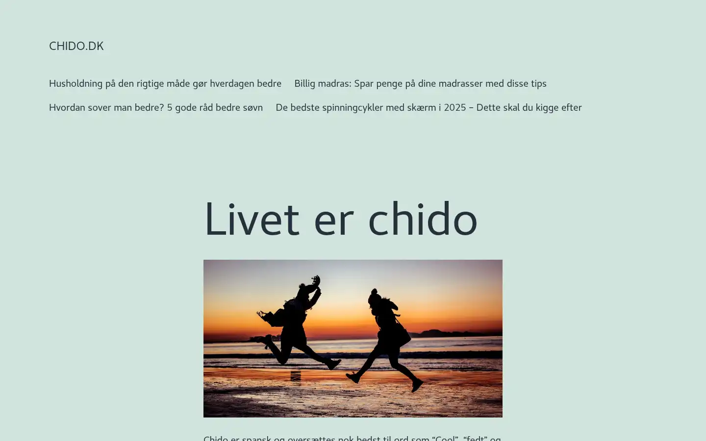 Screenshot of chido.dk
