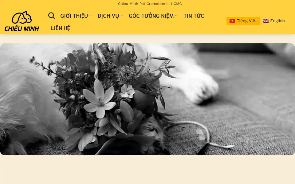 Screenshot of chieuminh.com