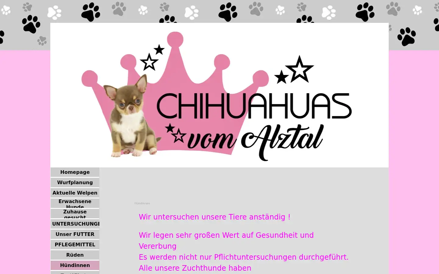 Screenshot of chihuahuasvomalztal.de
