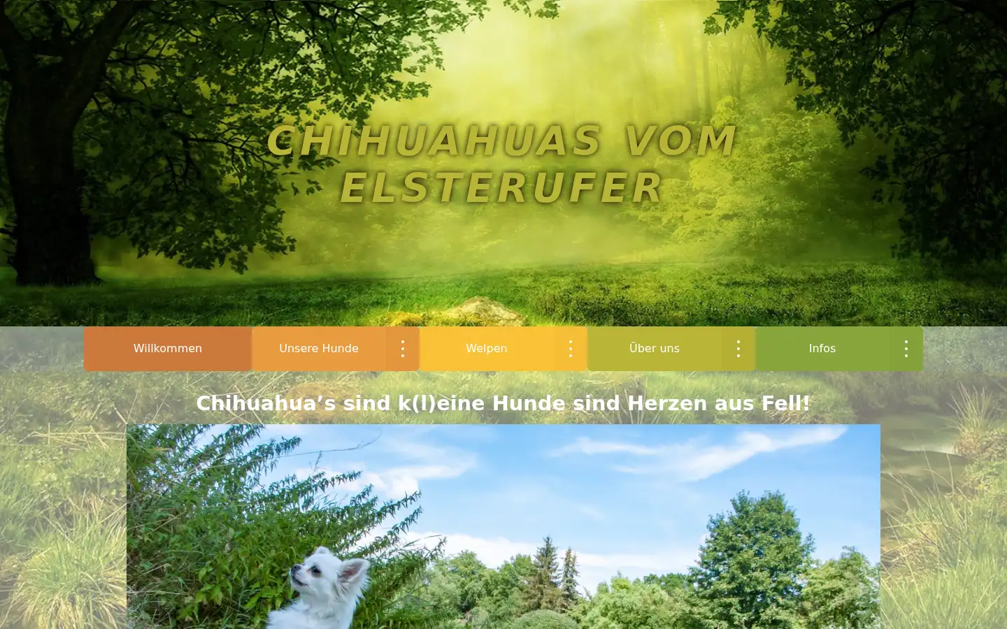 Screenshot of chihuahuavomelsterufer.de