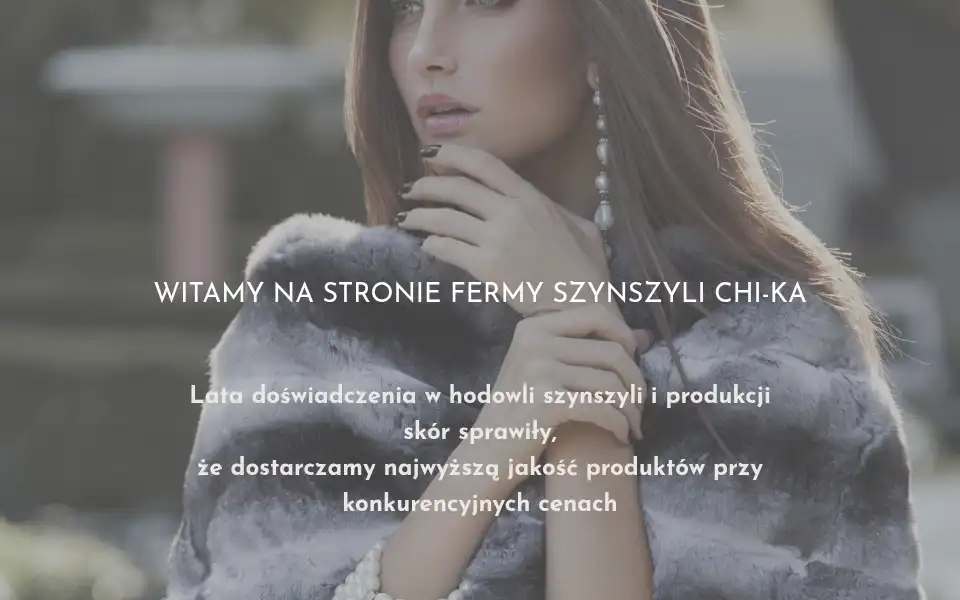 Screenshot of chinchilla.pl