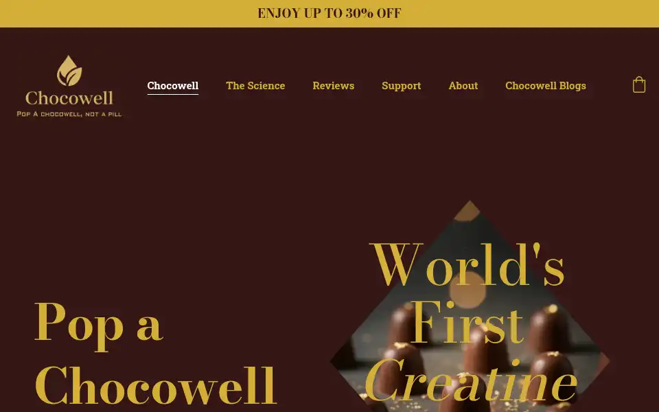 Screenshot of chocowell.in