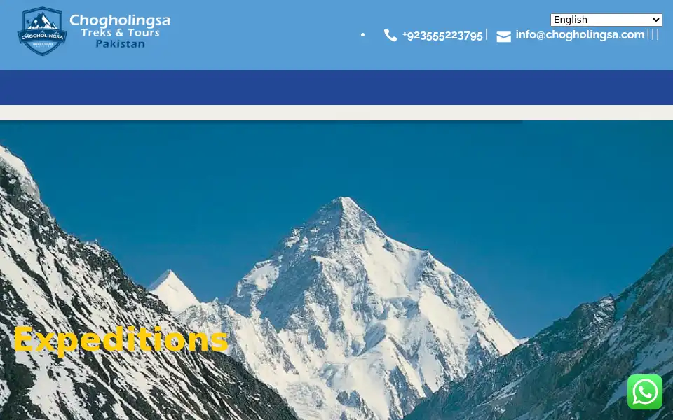 Screenshot of chogholingsa.com