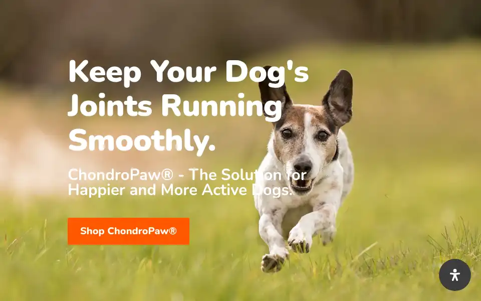 Screenshot of chondropaw.com