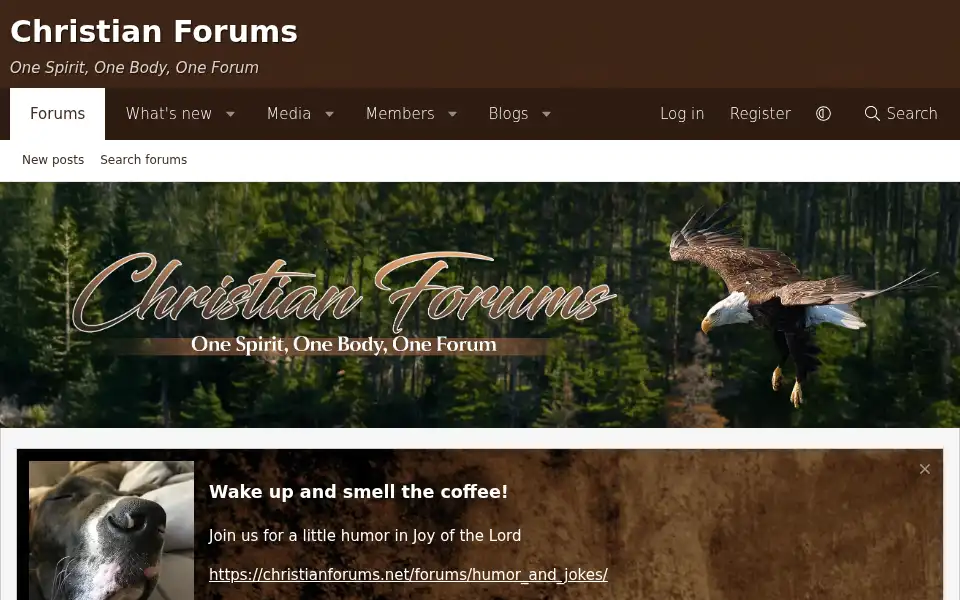 Screenshot of christianforums.net