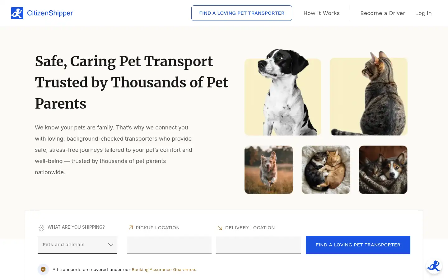 Screenshot of citizenshipper.com