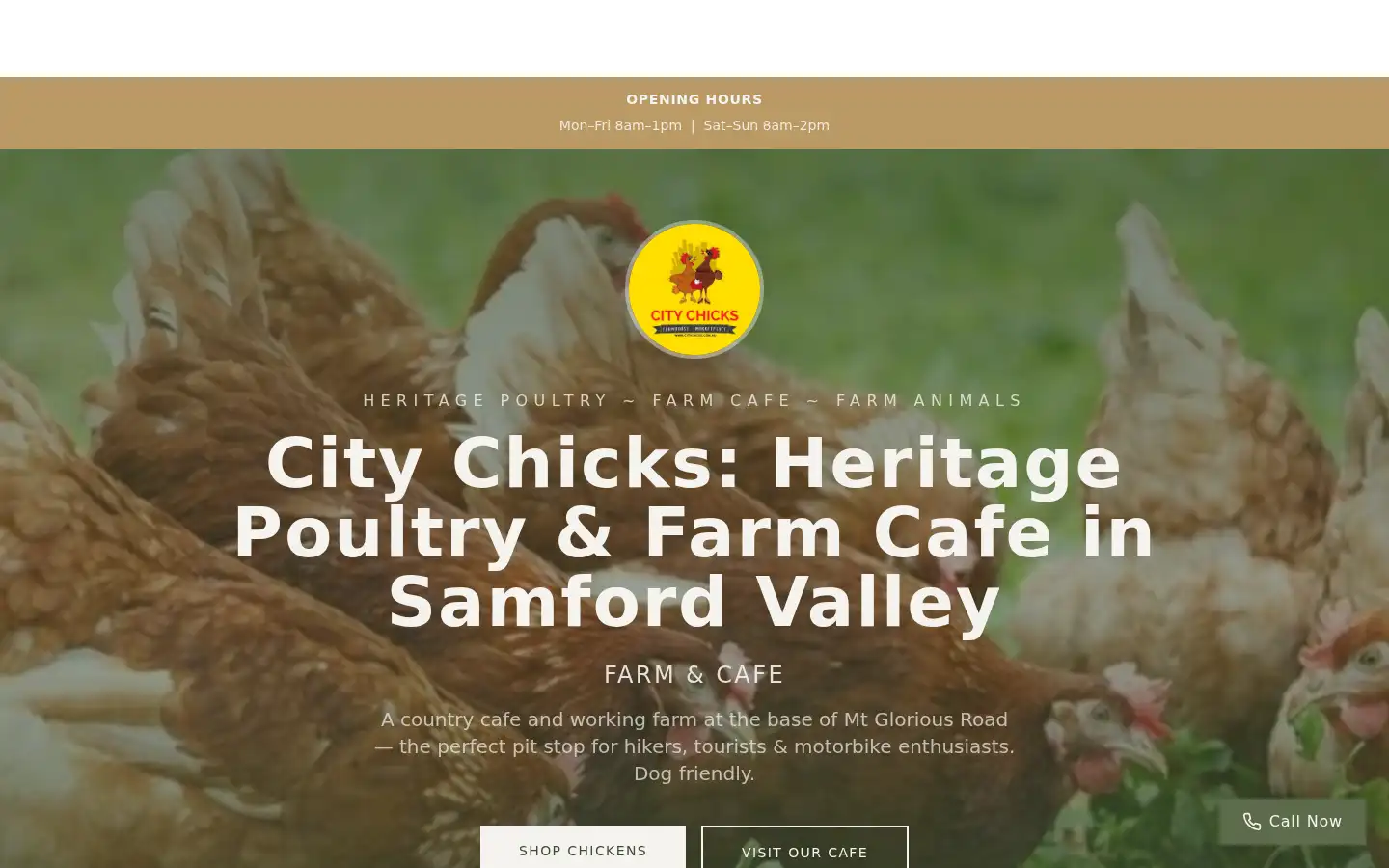 Screenshot of citychicks.com.au