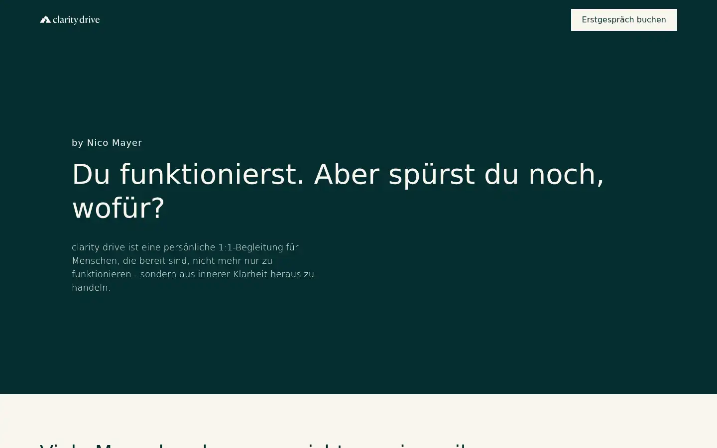 Screenshot of claritydrive.de