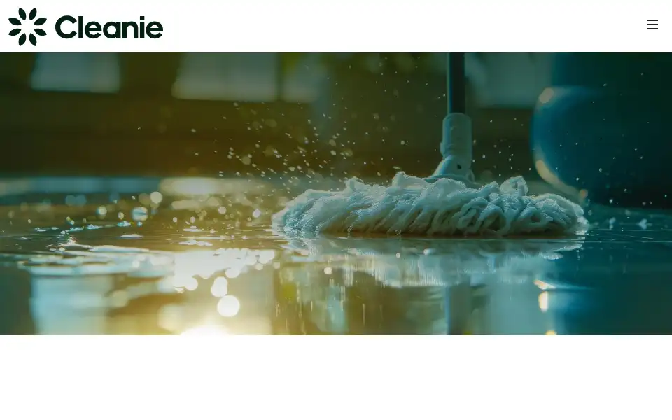 Screenshot of cleanie.com