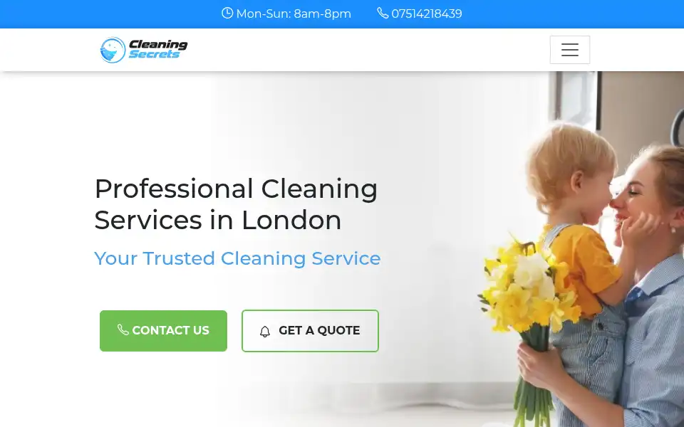 Screenshot of cleaningsecrets.co.uk