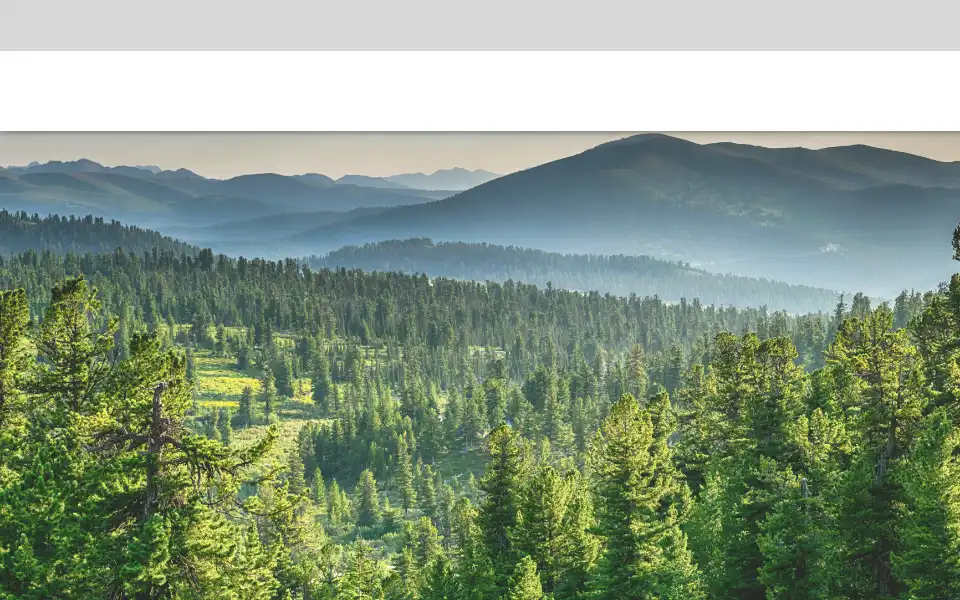 Screenshot of clearesult.com