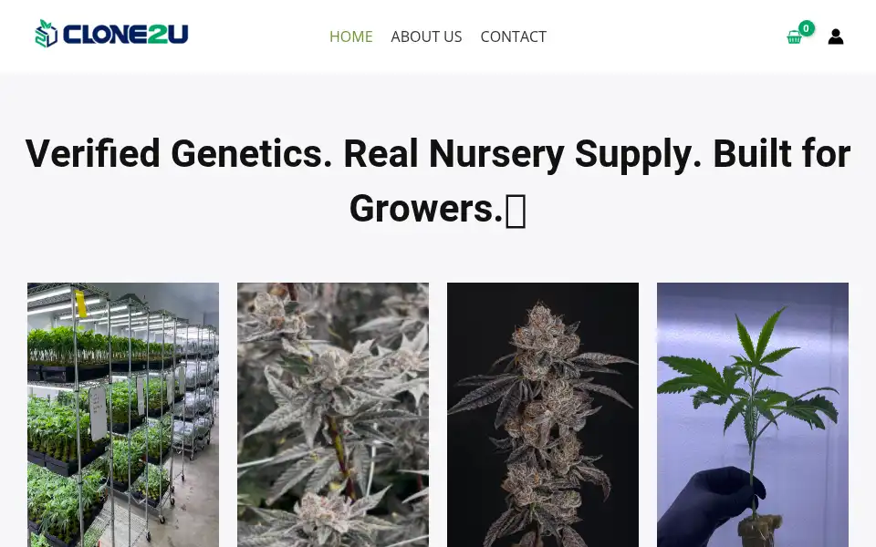 Screenshot of clone2u.com