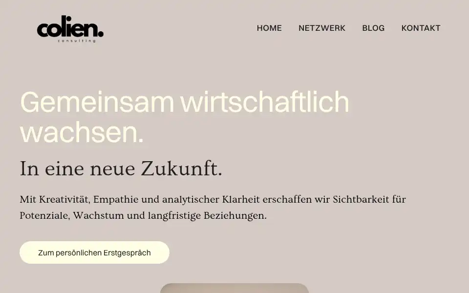 Screenshot of colien-consulting.de