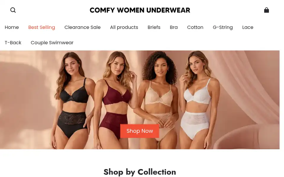 Screenshot of comfywomenunderwear.com