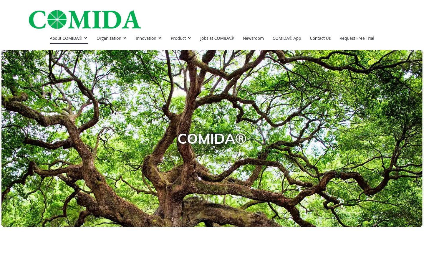 Screenshot of comidadrivers.com
