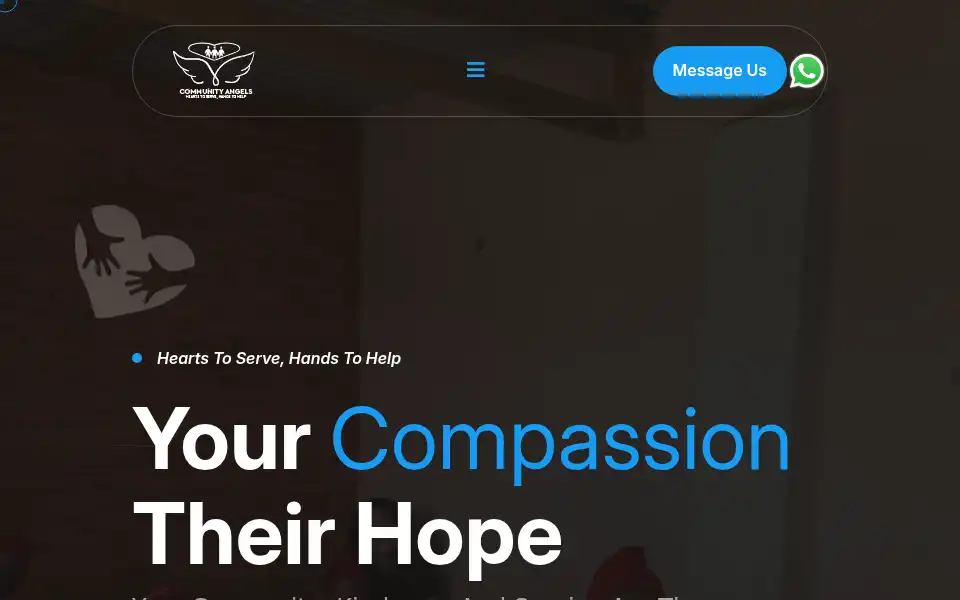 Screenshot of communityangelsinitiative.org