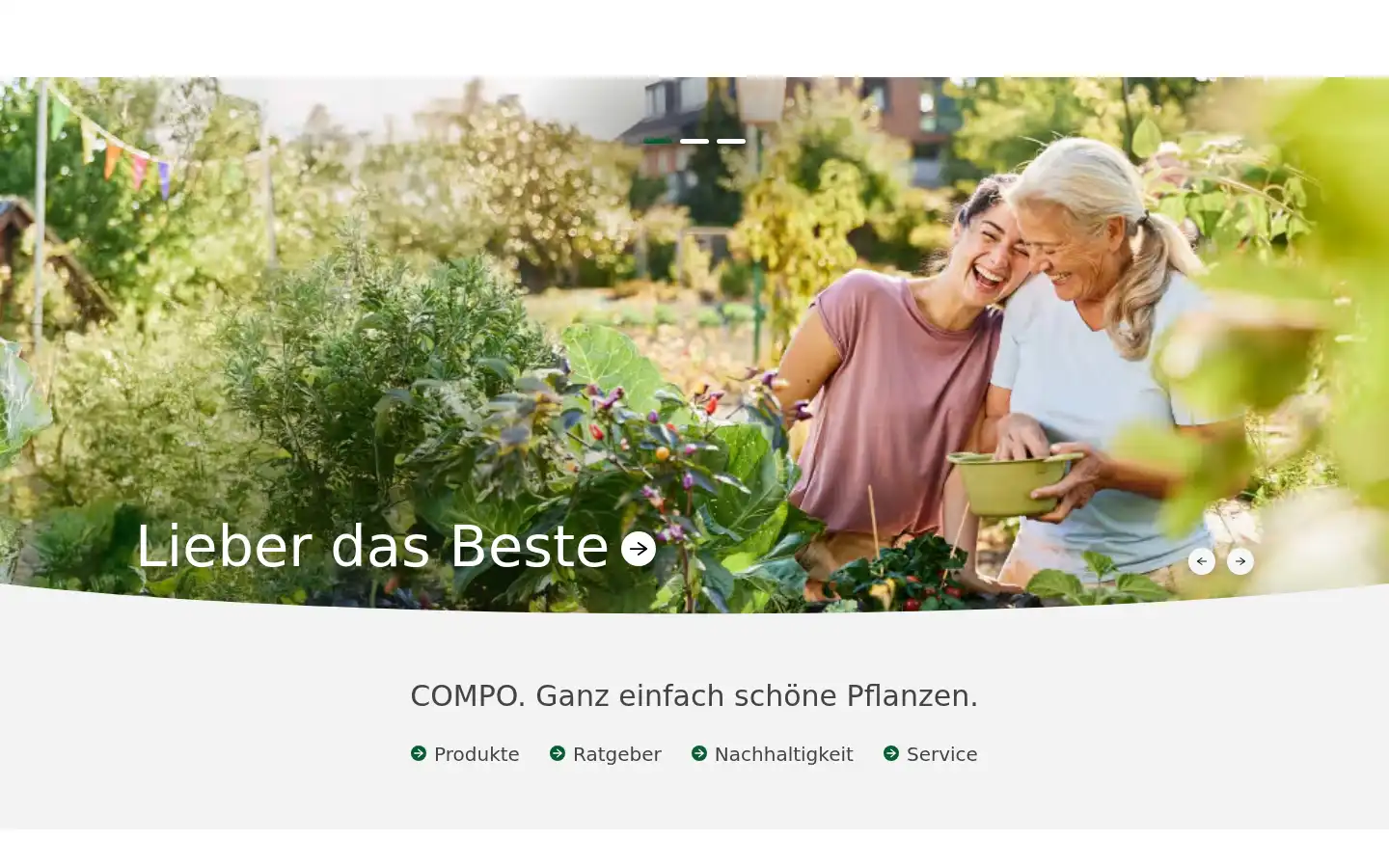 Screenshot of compo.de