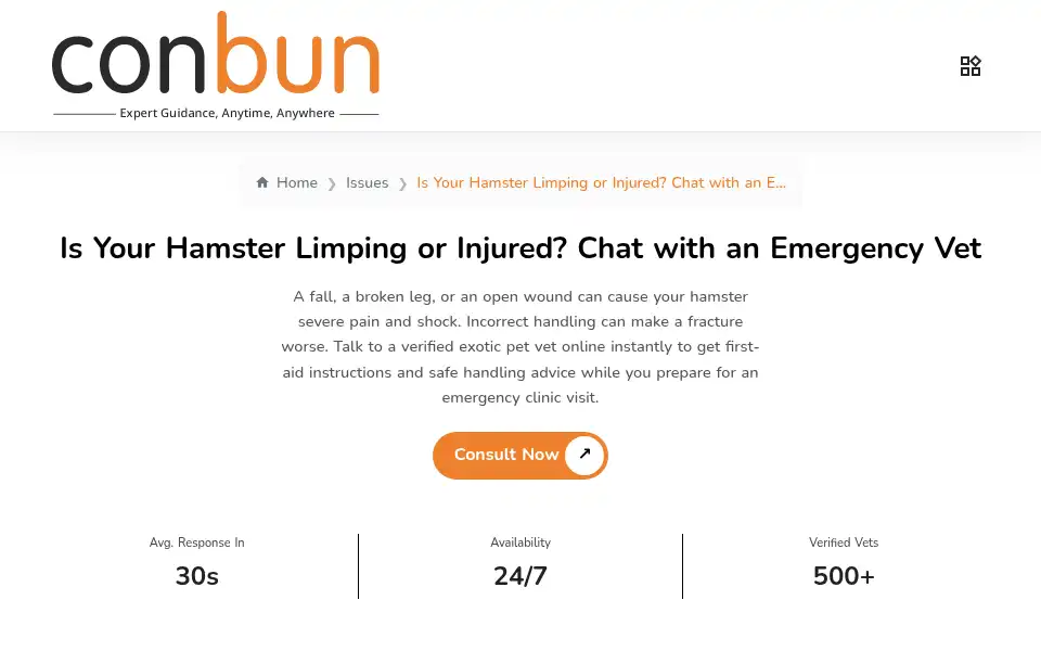 Screenshot of conbun.com