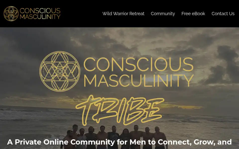 Screenshot of consciousmasculinity.net