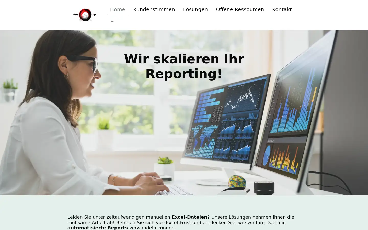 Screenshot of consulting-datasyn.de