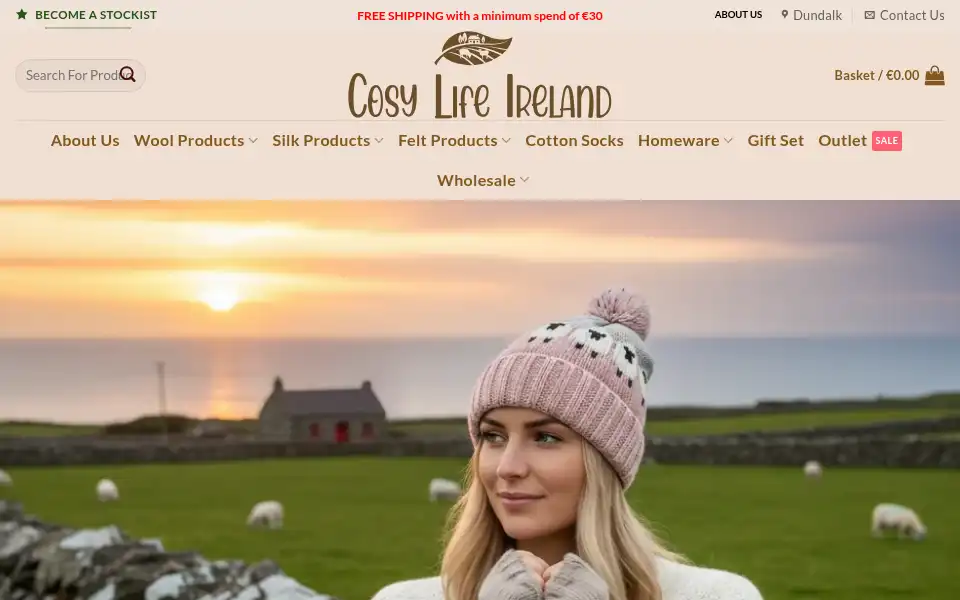 Screenshot of cosylife.ie