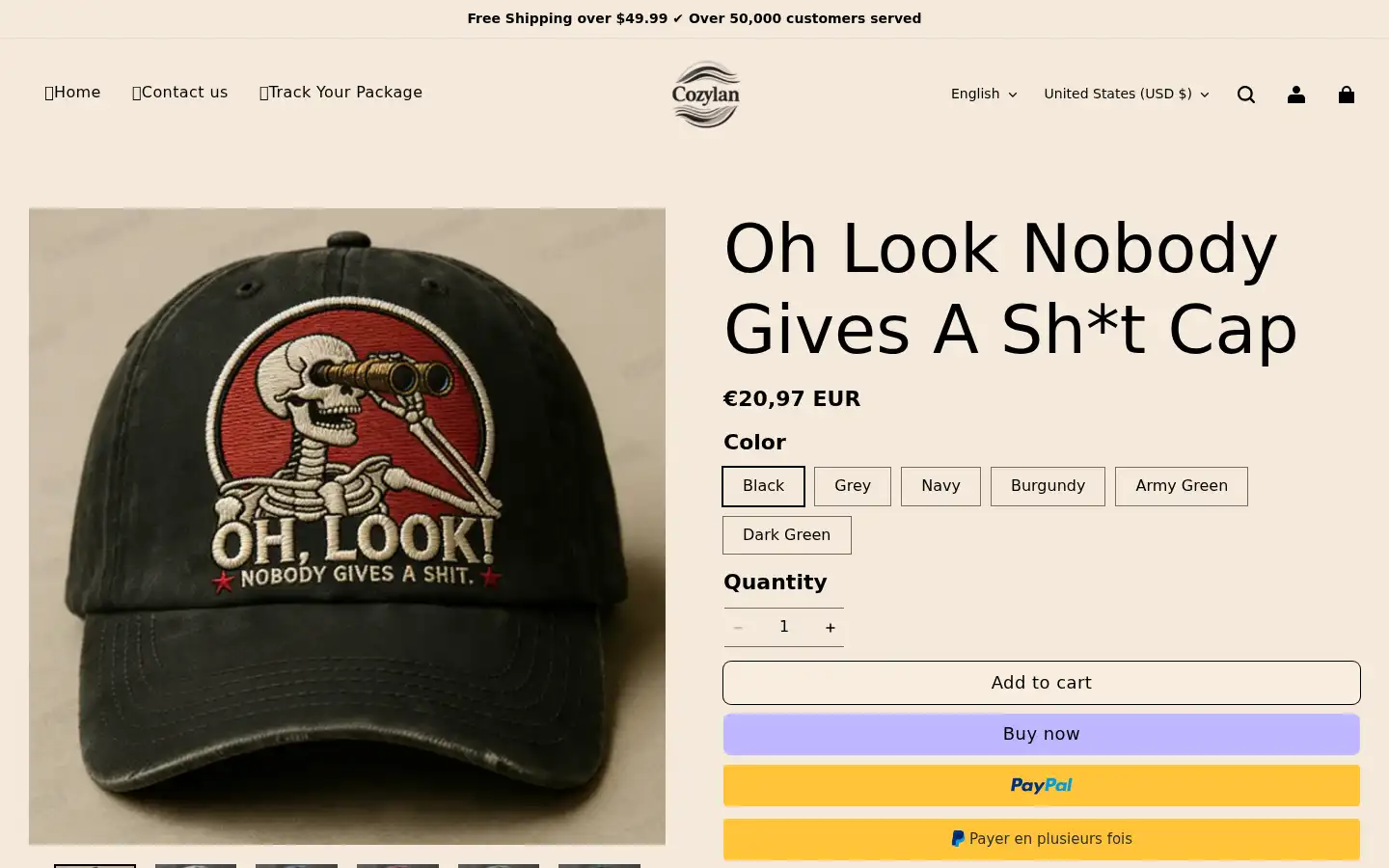 Screenshot of cozylan.com