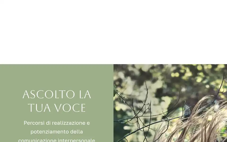 Screenshot of cristiantava.it