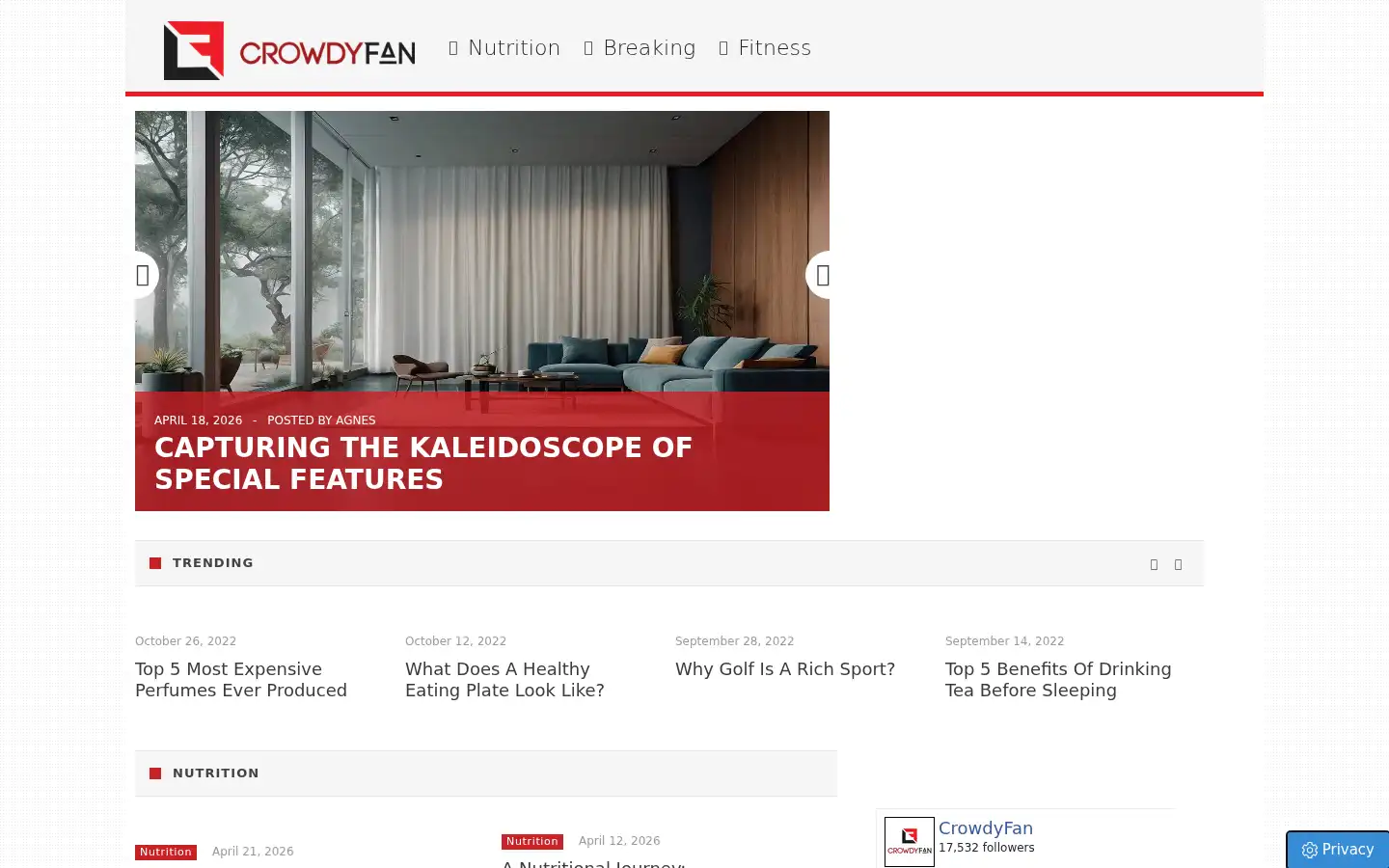 Screenshot of crowdyfan.com