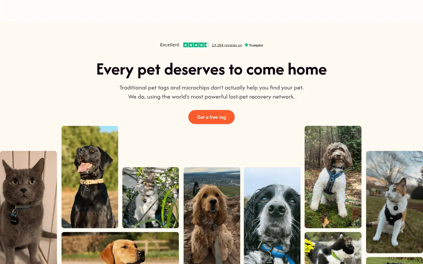 Screenshot of crumb.pet