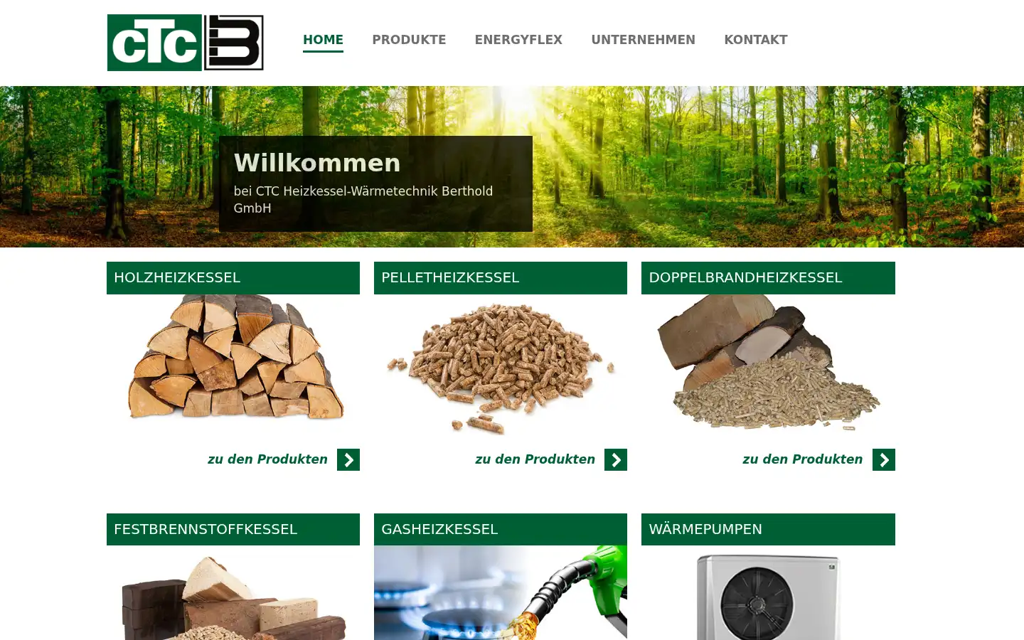 Screenshot of ctc-heizkessel.de
