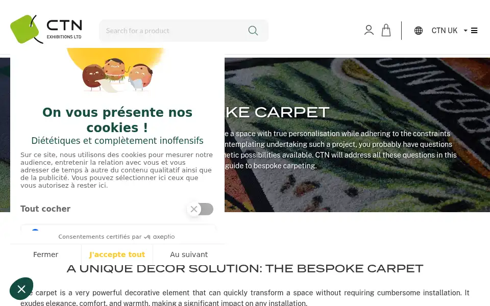 Screenshot of ctn.fr
