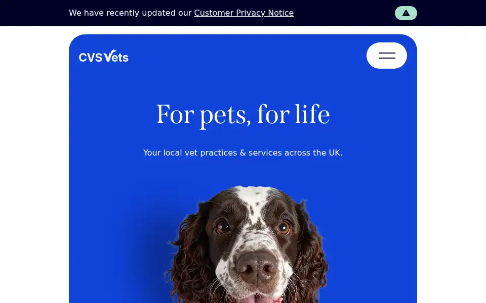 Screenshot of cvsvets.com